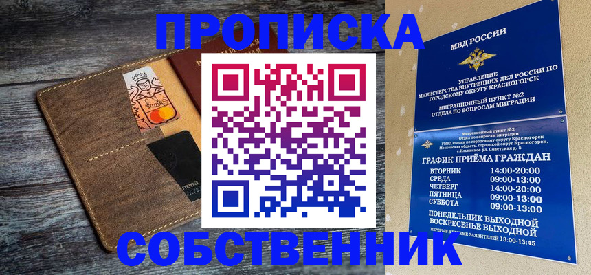 временная регистрация надежно в Дубне